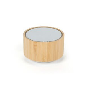 Bamboo speaker